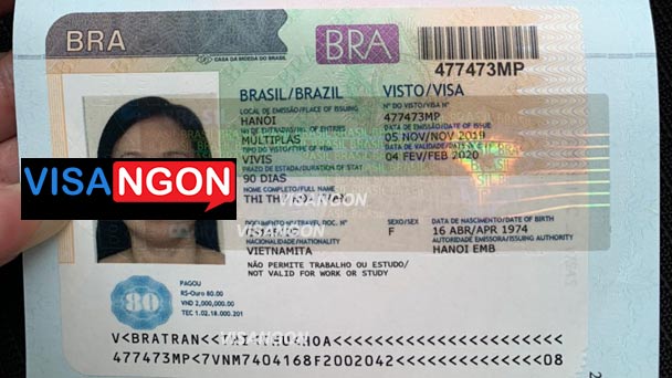 cách xin visa đi brazil 
