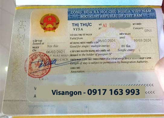 dịch vụ visa doanh nghiệp dn1 dn2 nhập cảnh chuyên gia 