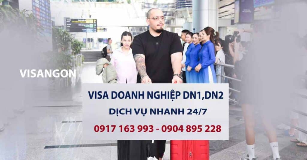 dịch vụ visa doanh nghiệp dn1 dn2 chuyên nghiệp