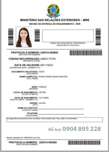 cách điền mẫu đơn xin visa đi brazil